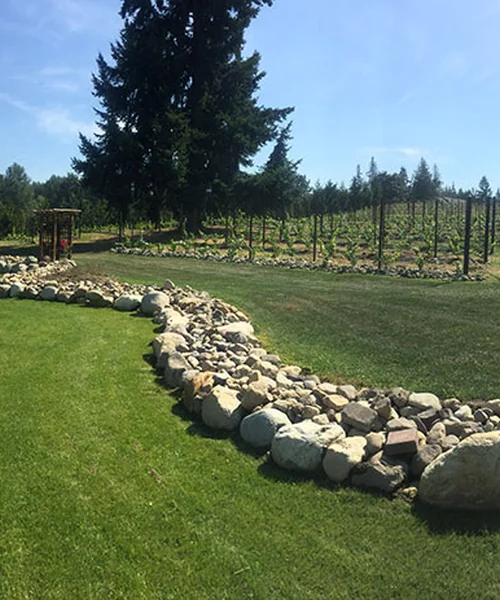 Rock Wall, Irrigation System & New lawn in Bonney Lake 